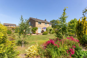 Photo 10- click for photo gallery